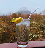 Glass Straws in Glacier Clear